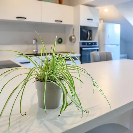 Appartement Cosy - Calme - Terrasse - Albi Appartement *