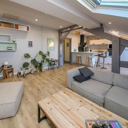 Appartement Cosy - Calme - Terrasse - Albi Appartement *